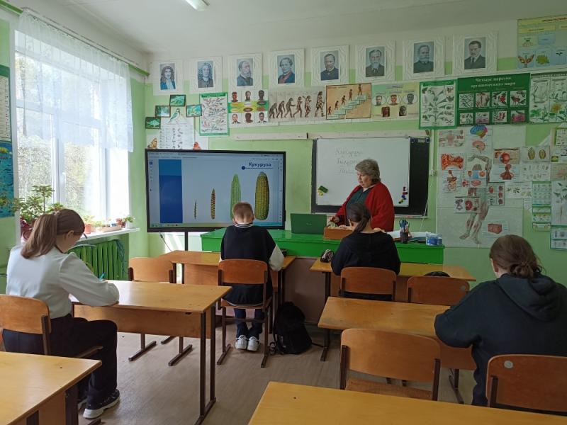 Генетика растений и продовольственная безопасность.